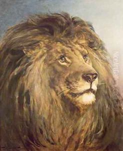 A Lions Head