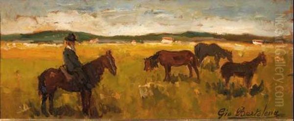 Buttero E Cavalli In Maremma - view 1
