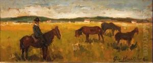 Buttero E Cavalli In Maremma