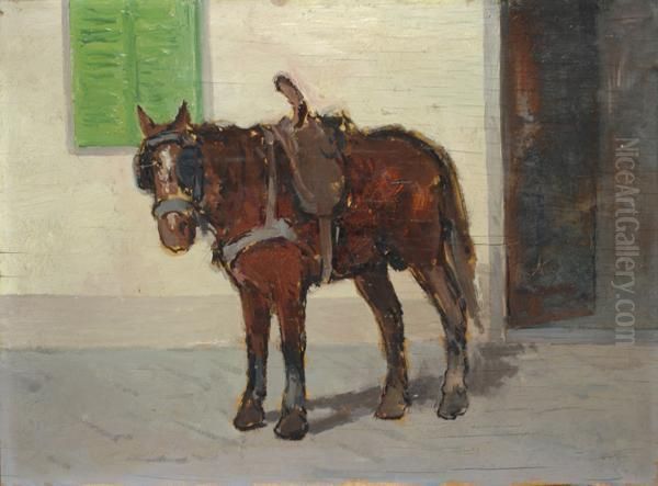 Cavallo - view 1