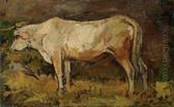 Mucca Nella Stalla - view 1