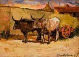 Carro Del Fieno Con Buoi Al Tramonto