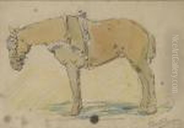 Cavallo - view 1
