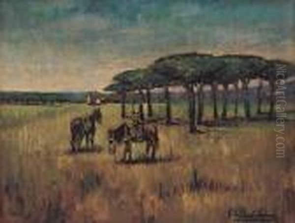 Pineta E Cavalli - view 1