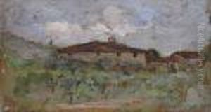 Paesaggio Concase