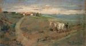 Aratura A Campolecciano