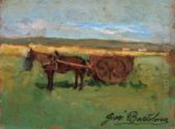 Cavallo Con Carro In Banditella - view 1