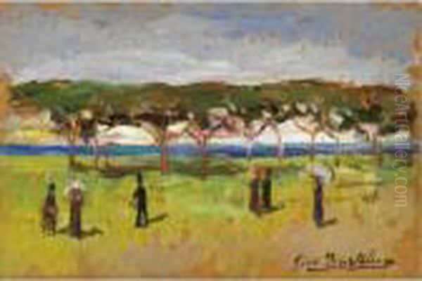 Passeggiata In Pineta - view 1
