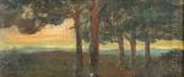 Paesaggio Altramonto - view 1