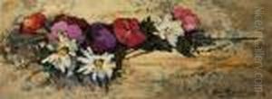 Fiori Fiori