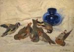 Natura Morta Con Vaso E Uccellini Natura Morta Con Vaso E Uccellini