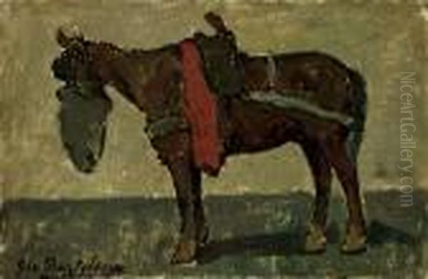 Cavallo A Riposo - view 1