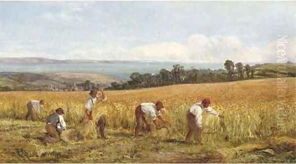 A golden harvest - view 1