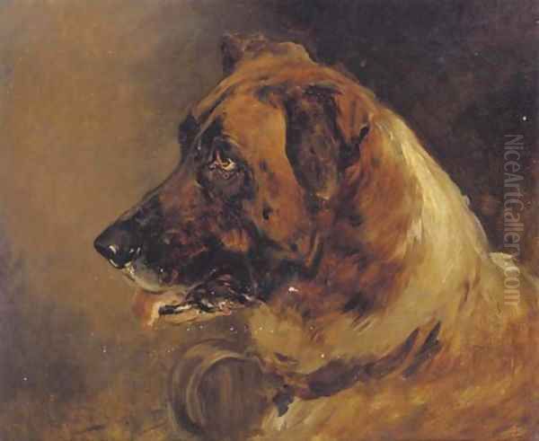 The head of a St. Bernard - view 1