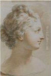 Head And Shoulders Of A Young Woman