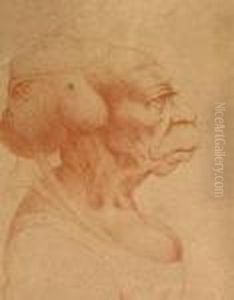 Grotesque Heads
