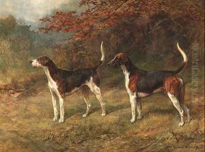 Chorister and Norman, one couple of fox hounds beside a covert