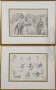 Study Of Noses And Classical Figures