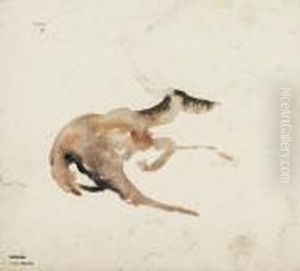 Biche Couchee by Antoine-louis Barye
