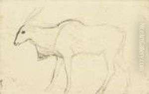 Antilope Canna by Antoine-louis Barye