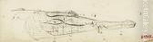 Tete De Gavial, De Profil A Droite, Avec Mensurations - view 1