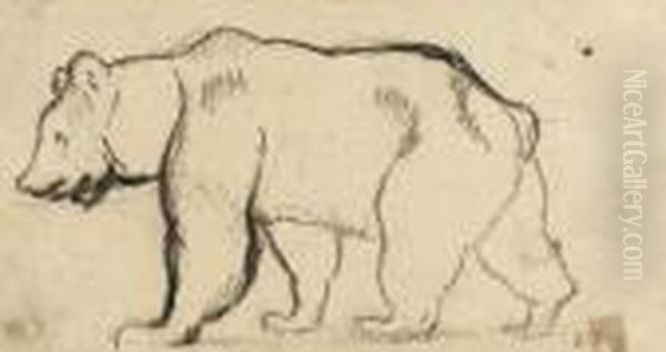 Ours Marchant Vers La Gauche - view 1