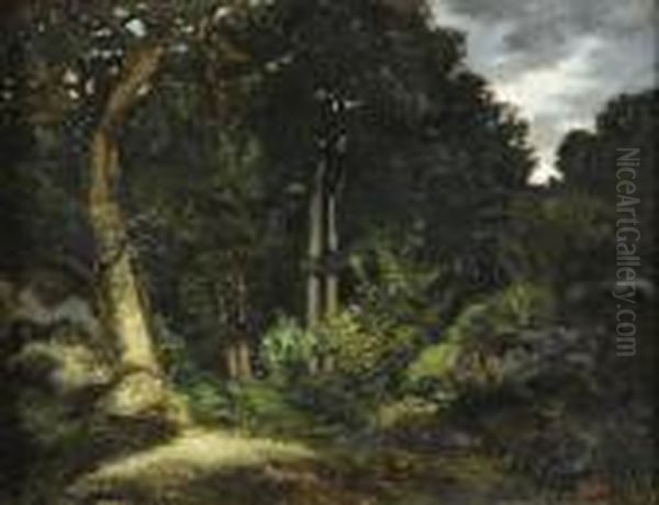Foret De Fontainebleau, La Reine Blanche - view 1