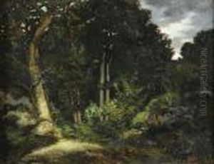 Foret De Fontainebleau, La Reine Blanche by Antoine-louis Barye