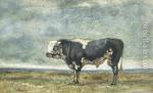 Taureau - view 1