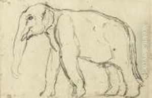 Etude D'elephant Marchant Vers La Gauche