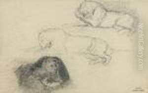 Trois Etudes De Lion by Antoine-louis Barye