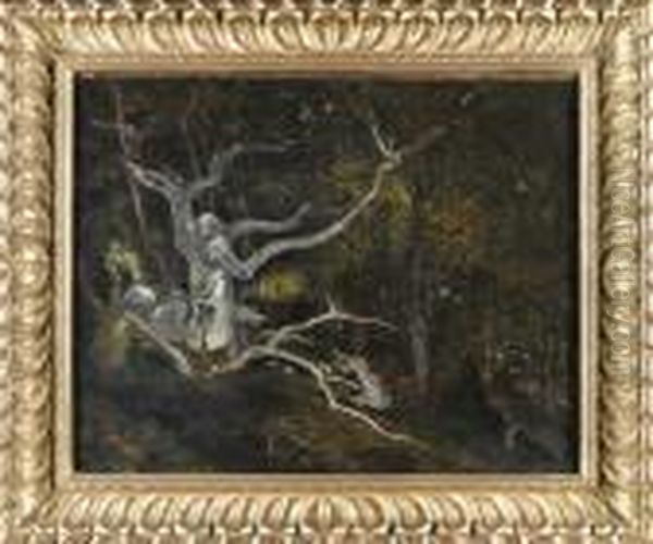 Foret De Fontainebleau, La Reine Blanche - view 1