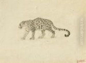 Study Of A Leopard by Antoine-louis Barye