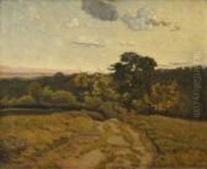 Vue D'un Chemin Au Crepuscule Vue D'un Chemin Au Crepuscule