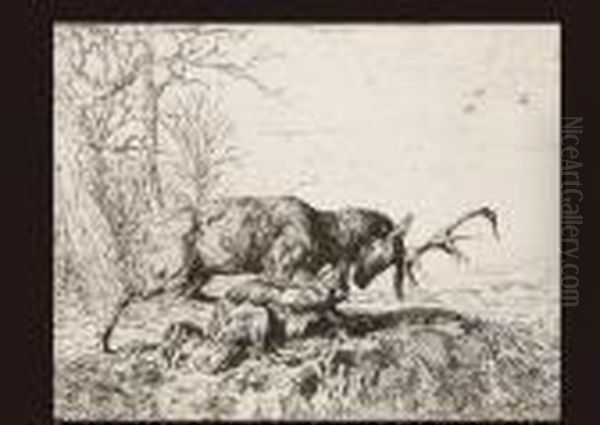 Cerf(by Ch.jacques) - view 1