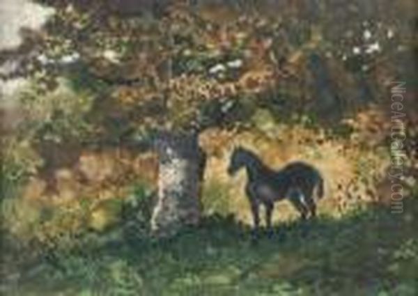 Cheval Sous Bois - view 1