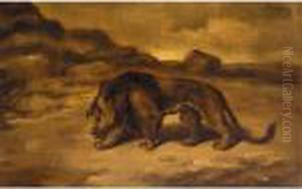 Lion Prowling - view 1