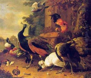 Birds in a Park