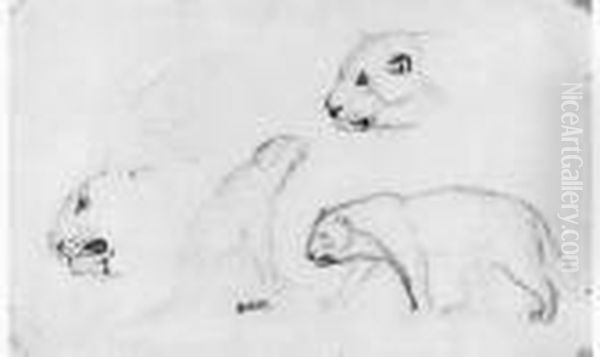 Deux Etudes De Tigre Et Trois Reprises De La Tete - view 1