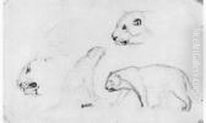 Deux Etudes De Tigre Et Trois Reprises De La Tete by Antoine-louis Barye