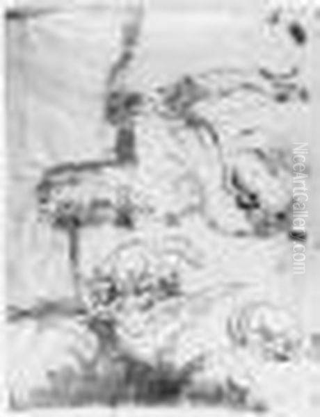 Differentes Etudes De Loups Et D'animaux Chassant Plume - view 1