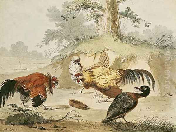 Cocks Fighting - view 1