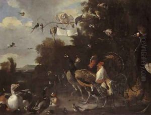 Bird Concert