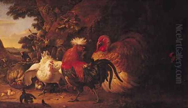 Farmyard Birds - view 1
