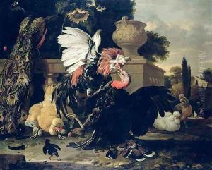 Fight between a Rooster and a Turkey