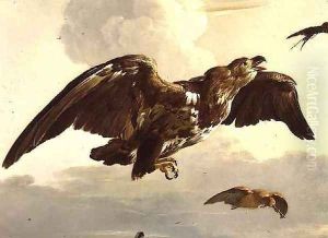 An Eagle and a Swallow in Flight