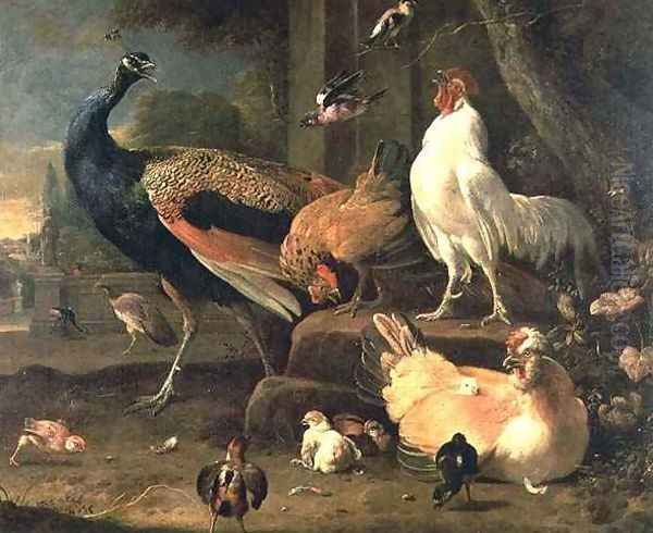 Poultry - view 1