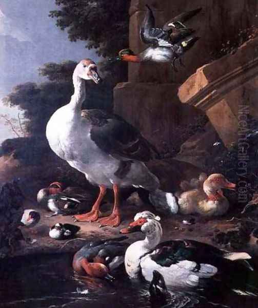 Waterfowl in a classical landscape - view 1