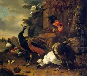 Birds in a Park 3