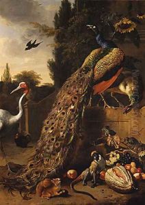 Peacocks